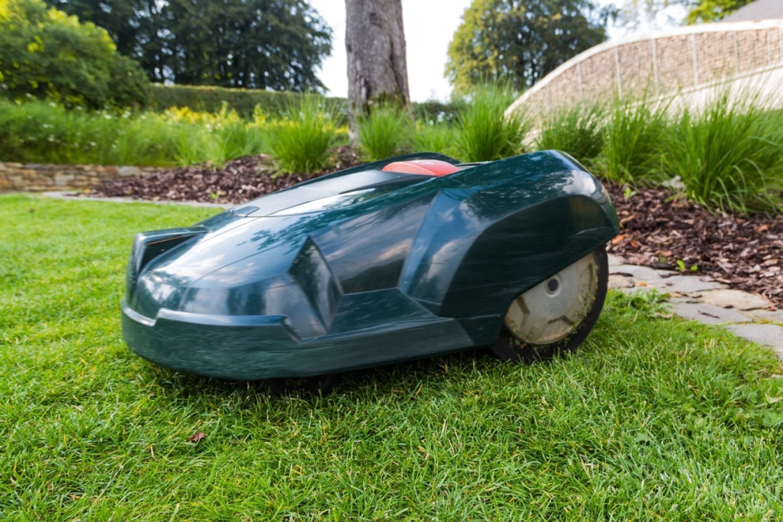 Robot tondeuse autonome en fonctionnement sur une pelouse